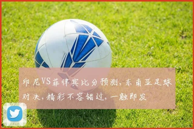 印尼VS菲律宾比分预测,东南亚足球对决,精彩不容错过,一触即发